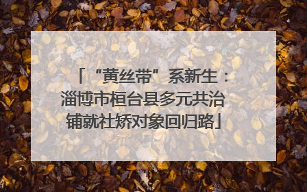 “黄丝带”系新生：淄博市桓台县多元共治铺就社矫对象回归路