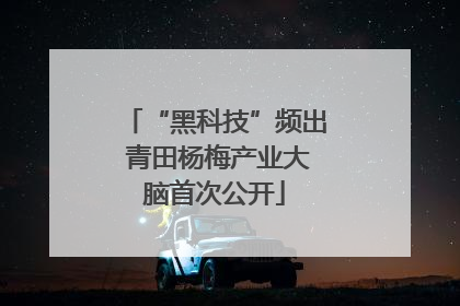 “黑科技”频出 青田杨梅产业大脑首次公开