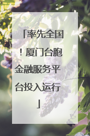 率先全国！厦门台胞金融服务平台投入运行