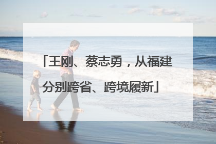 王刚、蔡志勇，从福建分别跨省、跨境履新