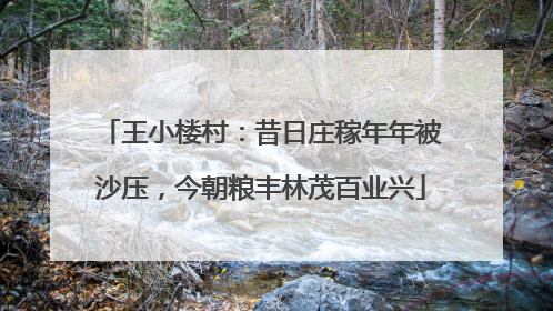 王小楼村：昔日庄稼年年被沙压，今朝粮丰林茂百业兴