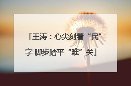 王涛：心尖刻着“民”字 脚步踏平“难”关