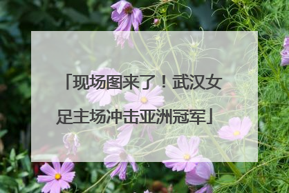 现场图来了！武汉女足主场冲击亚洲冠军