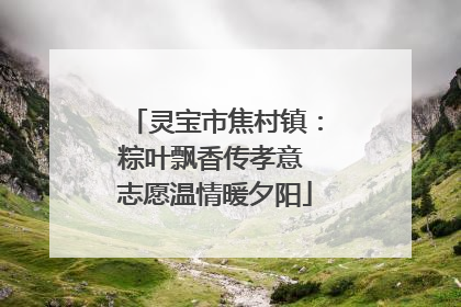灵宝市焦村镇：粽叶飘香传孝意 志愿温情暖夕阳