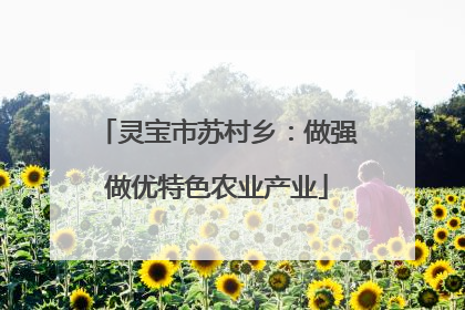 灵宝市苏村乡：做强做优特色农业产业