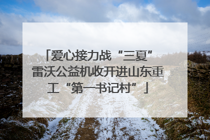 爱心接力战“三夏” 雷沃公益机收开进山东重工“第一书记村”
