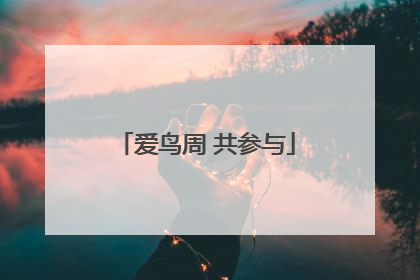 爱鸟周 共参与
