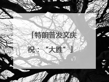 特朗普发文庆祝：“大胜”