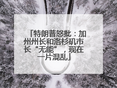 特朗普怒批：加州州长和洛杉矶市长“无能”，现在一片混乱