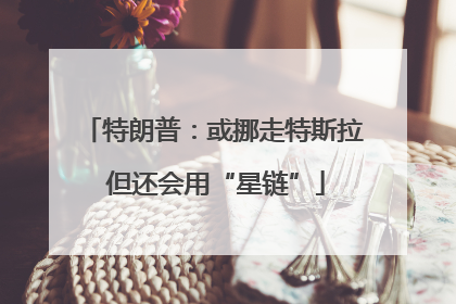 特朗普：或挪走特斯拉 但还会用“星链”