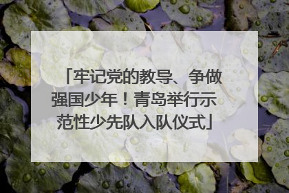 牢记党的教导、争做强国少年！青岛举行示范性少先队入队仪式
