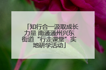 知行合一汲取成长力量 南通通州兴东街道“行走课堂”实地研学活动