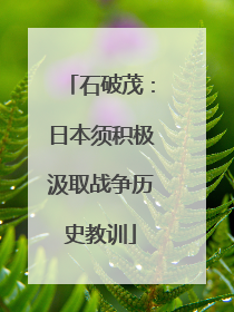 石破茂：日本须积极汲取战争历史教训