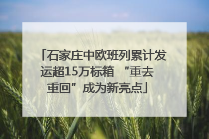 石家庄中欧班列累计发运超15万标箱 “重去重回”成为新亮点