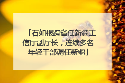 石如根跨省任新疆工信厅副厅长，连续多名年轻干部调任新疆