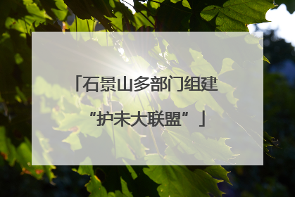 石景山多部门组建“护未大联盟”