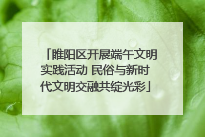 睢阳区开展端午文明实践活动 民俗与新时代文明交融共绽光彩