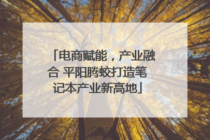 电商赋能，产业融合 平阳腾蛟打造笔记本产业新高地