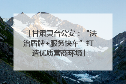 甘肃灵台公安：“法治盾牌+服务快车”打造优质营商环境