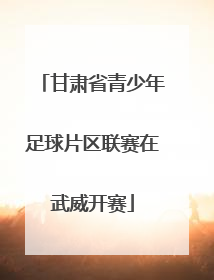 甘肃省青少年足球片区联赛在武威开赛