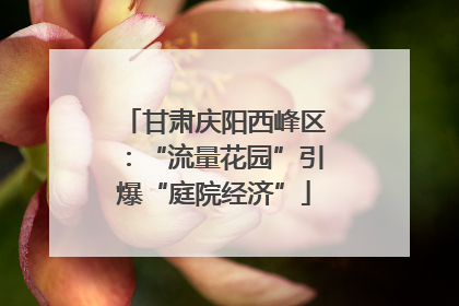 甘肃庆阳西峰区：“流量花园”引爆“庭院经济”