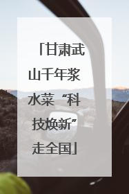 甘肃武山千年浆水菜“科技焕新”走全国