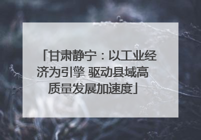 甘肃静宁：以工业经济为引擎 驱动县域高质量发展加速度