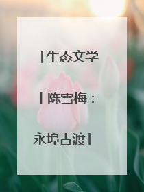 生态文学丨陈雪梅：永埠古渡