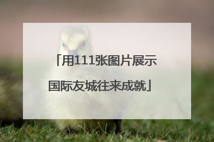 用111张图片展示国际友城往来成就