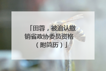 田蓉，被追认撤销省政协委员资格（附简历）