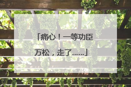 痛心！一等功臣万松，走了……