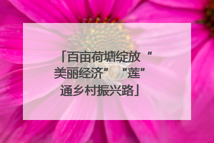 百亩荷塘绽放“美丽经济”“莲”通乡村振兴路
