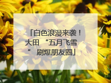 白色浪漫来袭！大田 “五月飞雪” 刷爆朋友圈