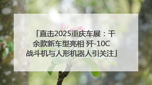 直击2025重庆车展：千余款新车型亮相 歼-10C战斗机与人形机器人引关注