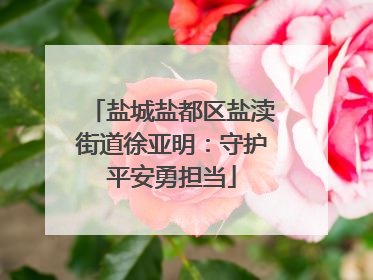 盐城盐都区盐渎街道徐亚明：守护平安勇担当