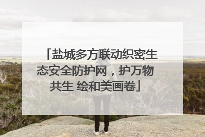 盐城多方联动织密生态安全防护网，护万物共生 绘和美画卷