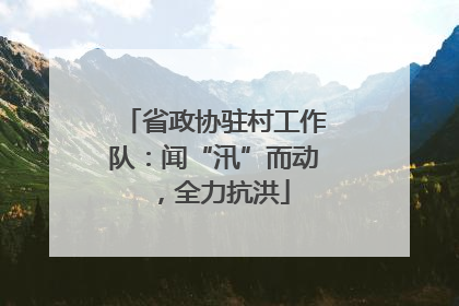 省政协驻村工作队：闻“汛”而动，全力抗洪