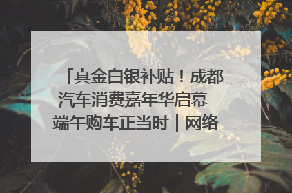 真金白银补贴！成都汽车消费嘉年华启幕 端午购车正当时｜网络中国节·端午