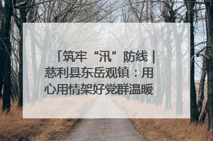 筑牢“汛”防线｜慈利县东岳观镇：用心用情架好党群温暖悠长的“连心桥”