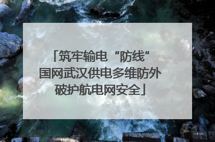 筑牢输电“防线” 国网武汉供电多维防外破护航电网安全