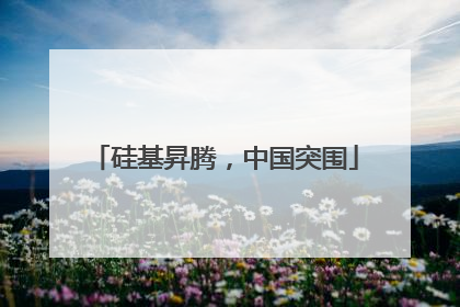 硅基昇腾，中国突围