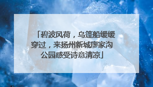 碧波风荷，乌篷船缓缓穿过，来扬州新城廖家沟公园感受诗意清凉