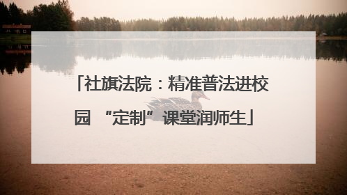 社旗法院：精准普法进校园 “定制”课堂润师生