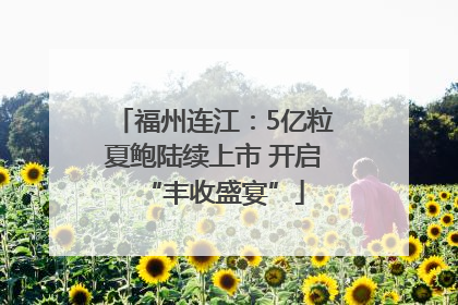 福州连江：5亿粒夏鲍陆续上市 开启“丰收盛宴”