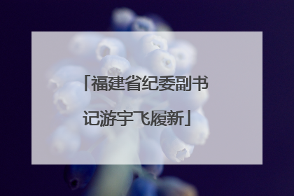 福建省纪委副书记游宇飞履新