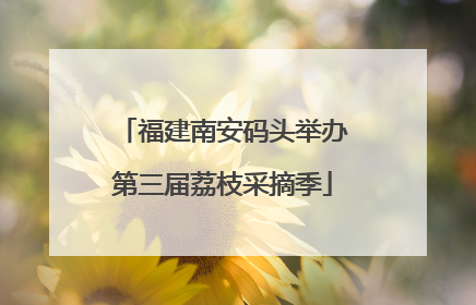 福建南安码头举办第三届荔枝采摘季