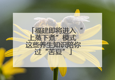 福建即将进入“上蒸下煮”模式 这些养生知识陪你过“苦夏”