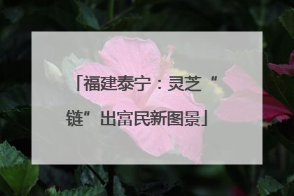 福建泰宁：灵芝“链”出富民新图景