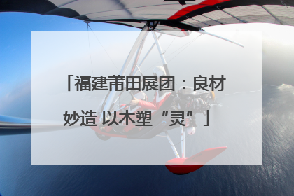 福建莆田展团：良材妙造 以木塑“灵”