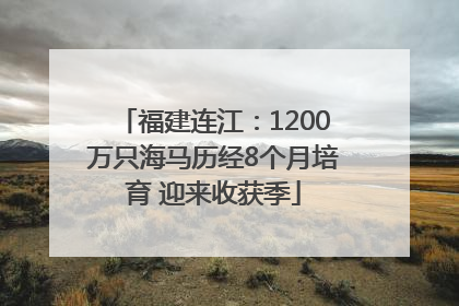 福建连江：1200万只海马历经8个月培育 迎来收获季